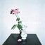 Nombres - Single