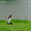 Day : 바람의 옷을 입고 초록을 달리네