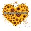 From Bonzai With Love 2011