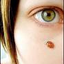 coccinelle81 için avatar