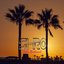 Palm Boulevard