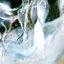 Godspeed >