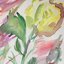 Yellow Rose