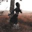 Forest - A Nihilistic Tale