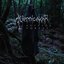 Suicide Forest