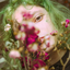 Avatar for ne6