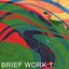 Brief Work 1