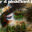 A Saucerful Of Secrets Segmented