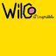 Wilco En De Leugendetector - EP