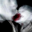 Avatar for Black_Dreamer_