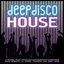 Deep Disco House