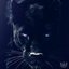 Black Panther