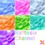 Rafflesia Channel