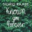 Known You Forever