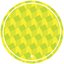 Charnel House - Single
