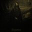 Begotten