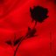 Already Gone - Single