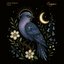 Voce