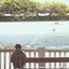 Yume - Single