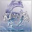 REALiZE
