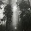 Premonitions