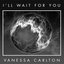 I'll Wait for You - Single