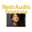 PRENDIDA (For Nest Audio Sessions)