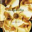 Magnolia Soundtrack