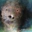 Animalation