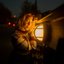 new year's eve - Single