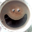 Avatar for ajloonn