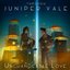 Unchangeable Love
