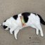 Cat Eat Cat [Explicit]