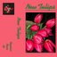 New Tulips