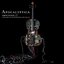 Amplified (A Decade Of Reinventing The Cello)