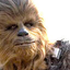 Avatar for the_wookie