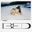 Bed (feat. Ariana Grande) - Single