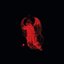The Voluptuous Fire of Sin
