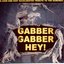 Gabber Gabber Hey! - A Loud And Fast Accelerated Tribute To The Ramones
