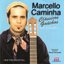 Clássicos Gaúchos Ao Violão