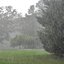 raining third