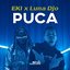 Puca