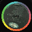 Avatar for ellleotribal