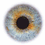 Avatar for breakd0wn_