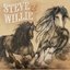 Faithfully (feat. Willie Nelson)