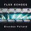 Flux Echoes