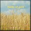 Fields of Gold - Single