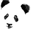 Avatar for Panda-bar