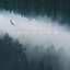 Mist - Single