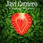 Laberinto del Deseo - Single